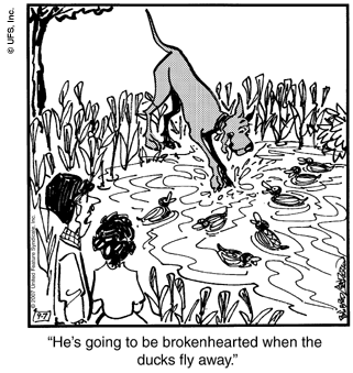 marmaduke